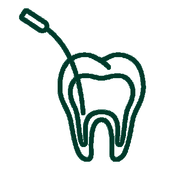 Endodontics (Root Canal)